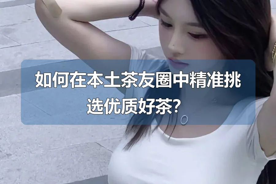如何在本土茶友圈中精准挑选优质好茶?
